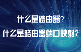 什么是路由器端口映射功能？