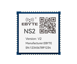 NS2-V2